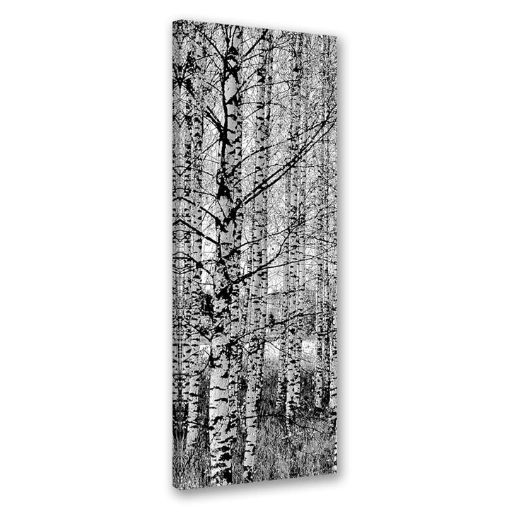 Feeby Leinwand Bilder - Natur - Wald - 50x150 cm- Deko Wohnzimmer - Wandbilder Schlafzimmer - Deko A