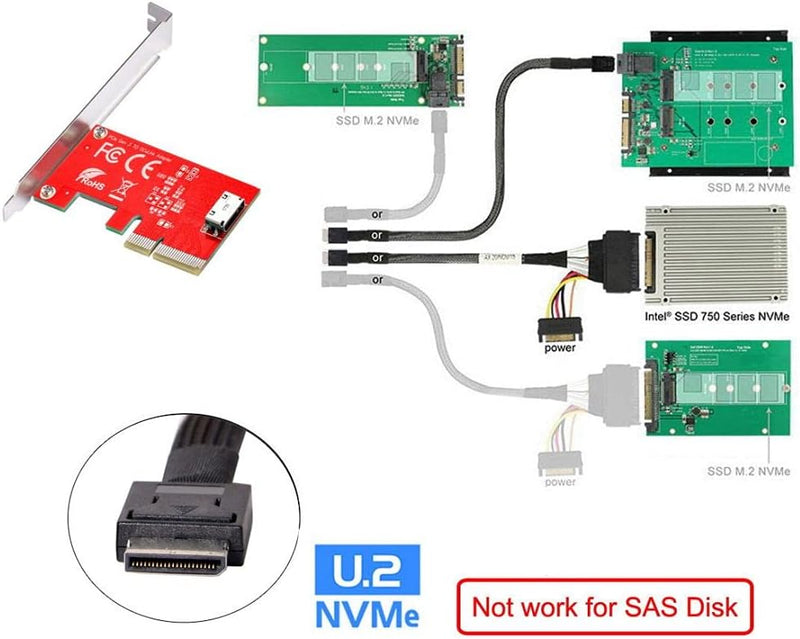 ChenYang CY PCI-E 3.0 Express 4.0 x4 zu Oculink Interner SFF-8611 SFF-8612 Host-Adapter für PCIe SSD