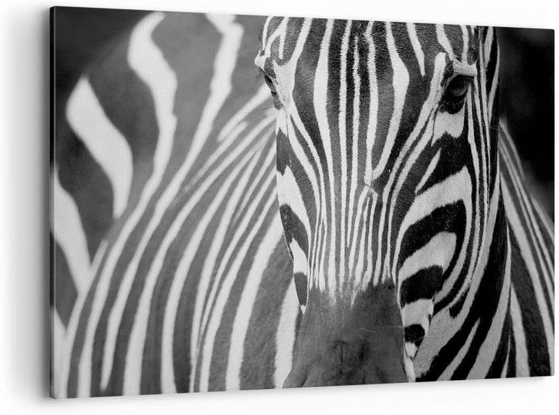 ARTTOR Bilder auf Leinwand 100x70cm Leinwandbild Tiere Zebra gestreift Gross Wanddeko Bild Schlafzim