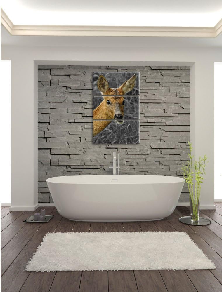 Pixxprint stolzes REH beim Fressen als Leinwandbild/Grösse: 3 Teilig (120x80) cm/Wandbild/Kunstdruck