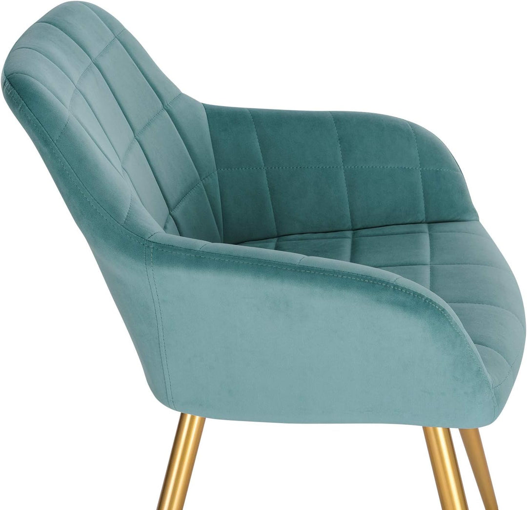 WOLTU Esszimmerstühle 4er Set Esszimmerstuhl Küchenstuhl Polsterstuhl Design Stuhl mit Armlehnen, mi