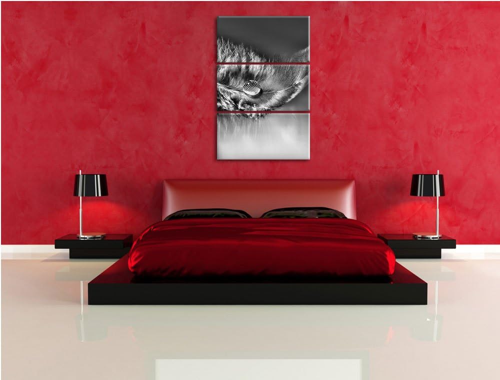 Pixxprint Wassertropfen auf Feder als Leinwandbild | Grösse: 3 Teilig (120x80) | Wandbild| Kunstdruc