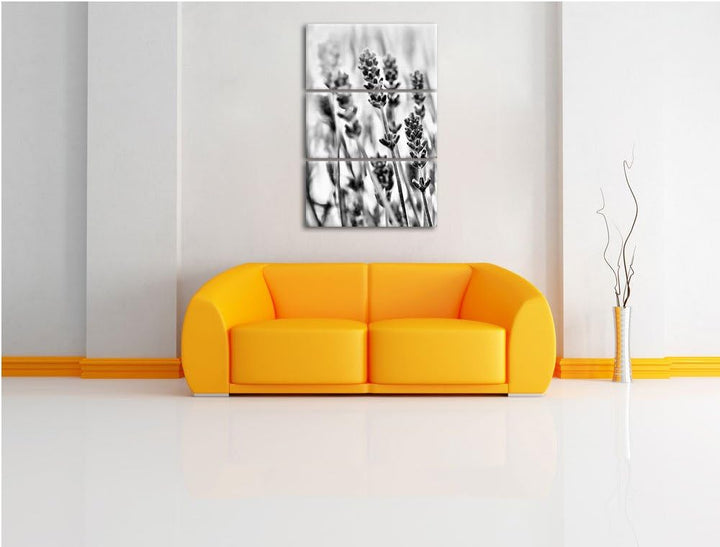 Pixxprint Lavendel als Leinwandbild/Grösse: 3 Teilig (120x80) cm/Wandbild/Kunstdruck/fertig bespannt
