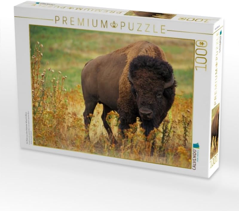 CALVENDO Puzzle Wisent & Bison 1000 Teile Lege-Grösse 64 x 48 cm Foto-Puzzle Bild von Elisabeth Stan