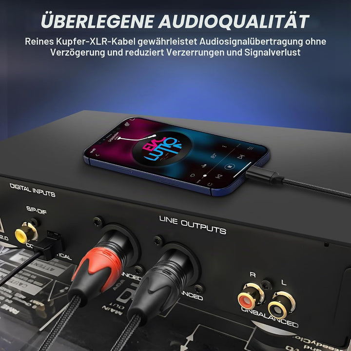 XMSJSIY USB C auf Dual XLR Mikrofonkabel Typ C Stecker auf XLR Stecker Stereo Verstärker Kabel Audio