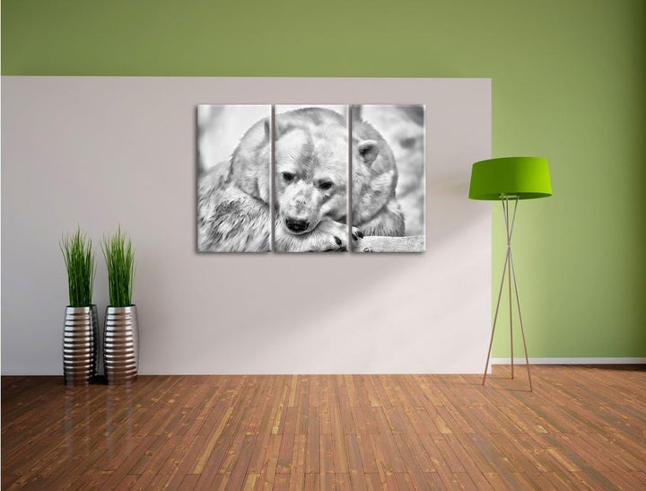 Pixxprint Nachdenklicher Eisbär als Leinwandbild/Grösse: 3 Teilig (120x80) cm/Wandbild/Kunstdruck/fe