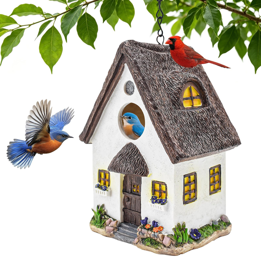 Vogelhaus zum Aufhängen, Wetterfest Nistkasten für Vögel mit 35 mm Einflugloch, Dekoration Vogelhäus