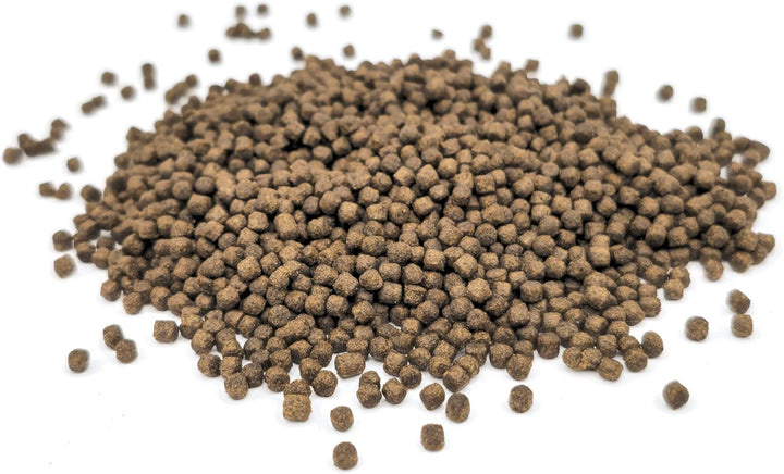 Nutramare Koi360 Tosai Swim 10kg | Für kraftvolles Wachstum Kleiner Koi ab 12 cm, 2,5mm Pellets zur