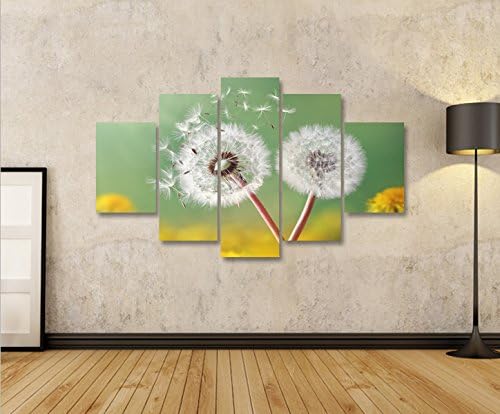 islandburner Bild Bilder auf Leinwand Pusteblume V2 Natur Blumen MF XXL Poster Leinwandbild Wandbild