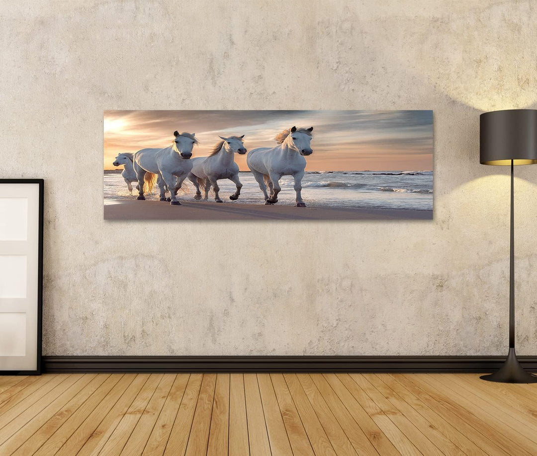islandburner Bild auf Leinwand Weisse Pferde Camargue Frankreich Herde Bilder Wandbilder Poster Lein
