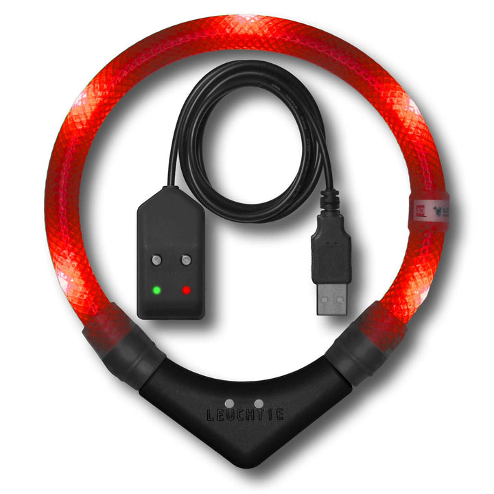 LEUCHTIE® Easy Charge Leuchthalsband Hund aufladbar, wasserdichtes LED Halsband, Leuchtband für Hund