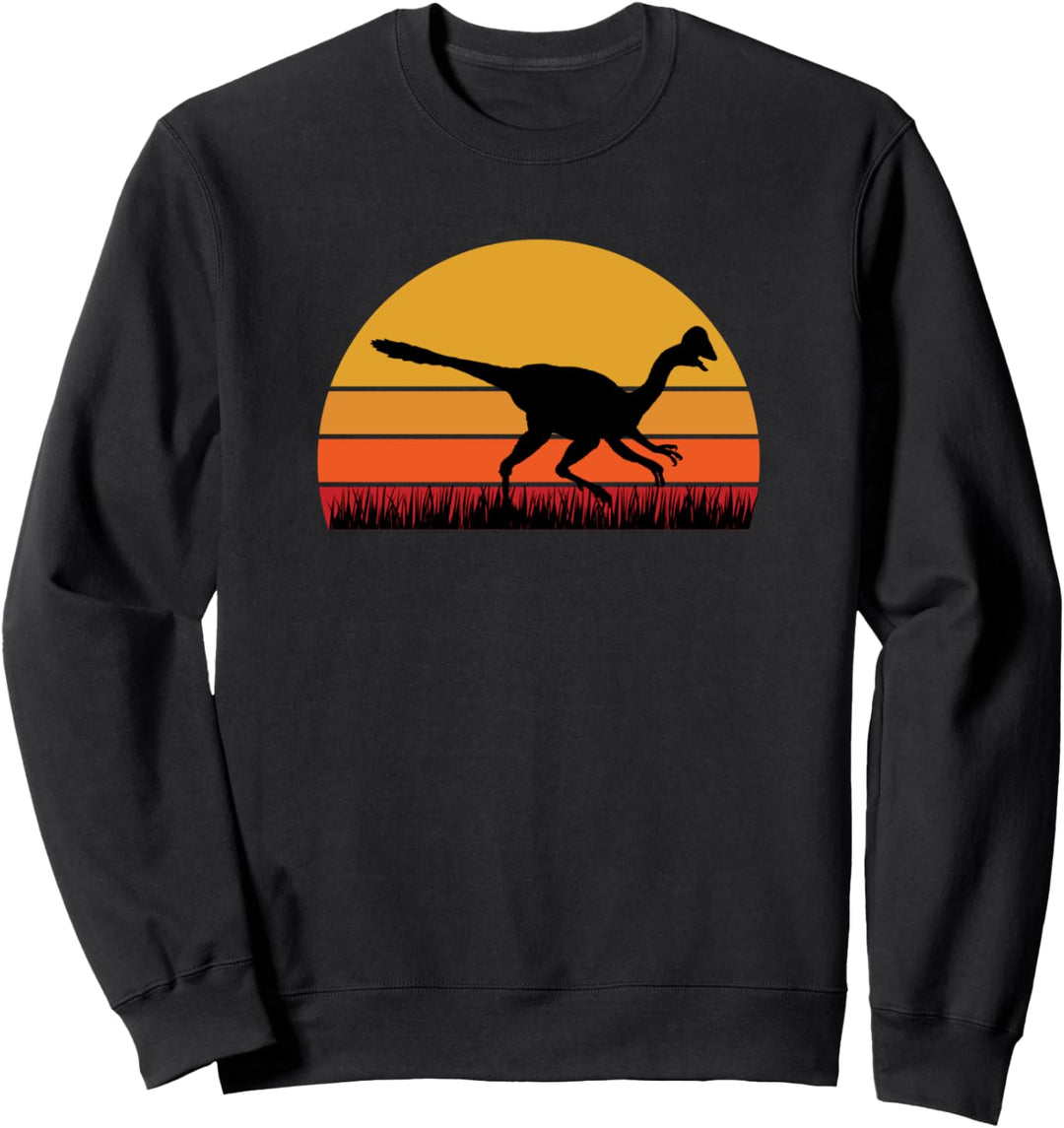 Raptor Velociraptor Dinosaur Dino Dinosaurier Jurassisch Sweatshirt