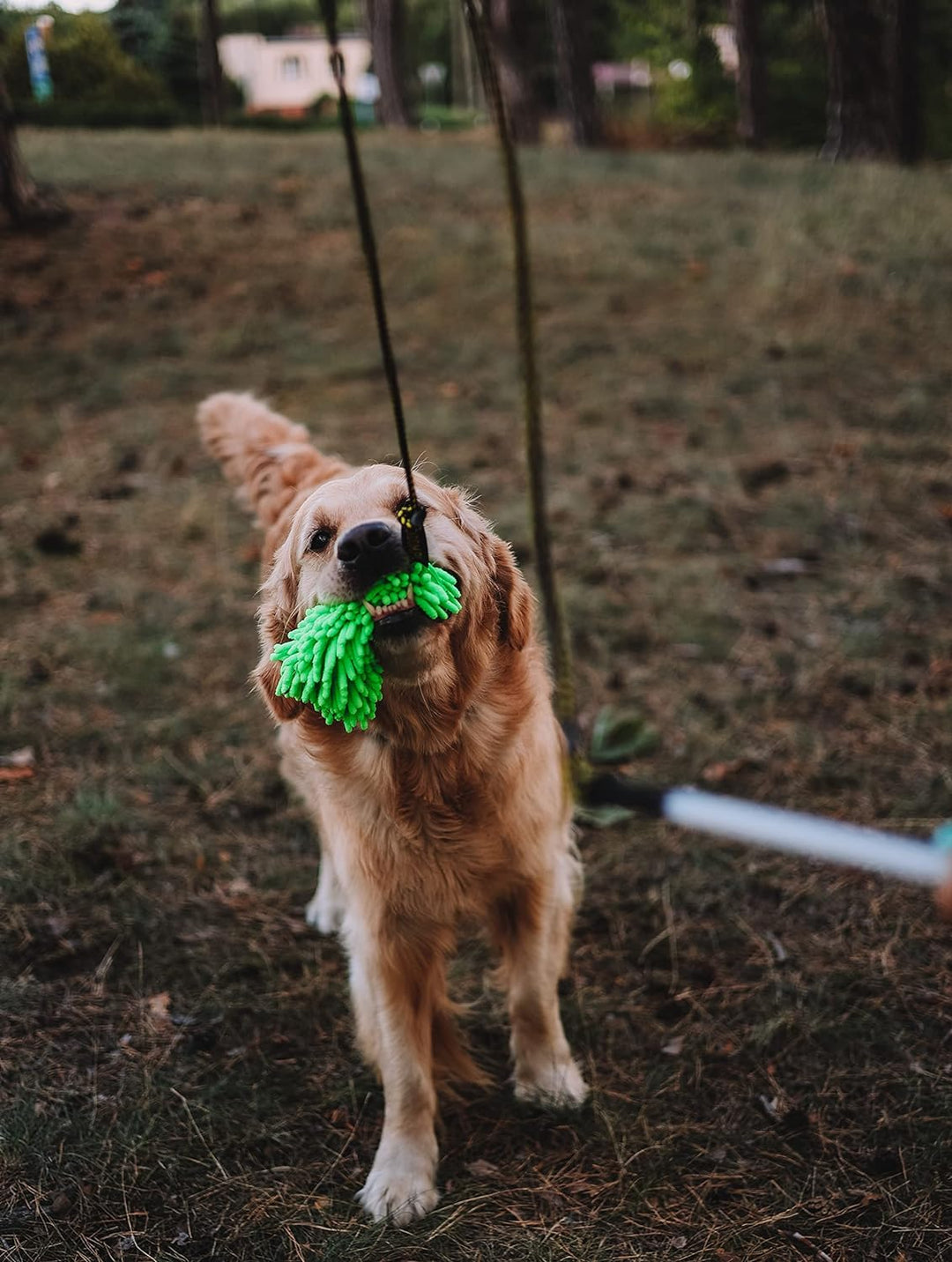 Dingo Angelrute Spielzeug mit Schnur 130 cm und austauschbaren Spitzen Mop Grün+Wolle Quietsche, Mop