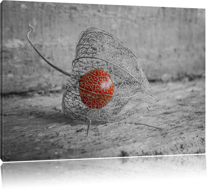 leckere Physalis in Schale schwarz/weiss Format: 100x70 auf Leinwand, XXL riesige Bilder fertig gera