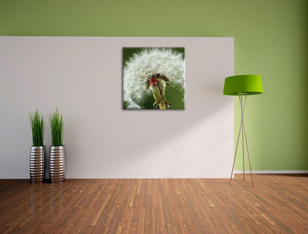 Marienkäfer auf Pusteblume, Format: 70x70 auf Leinwand, XXL riesige Bilder fertig gerahmt mit Keilra