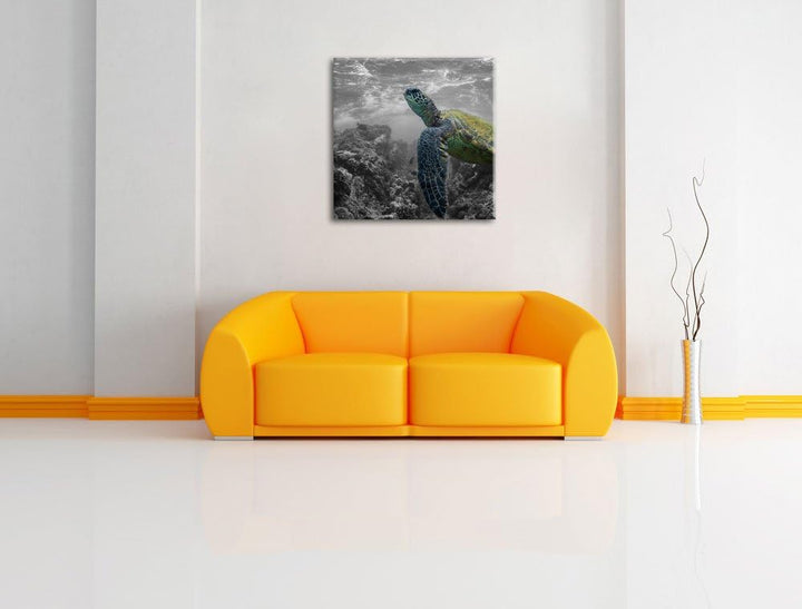 Pixxprint Schildkröte und Korallen im Ozean / 70x70cm Leinwandbild bespannt auf Holzrahmen/Wandbild