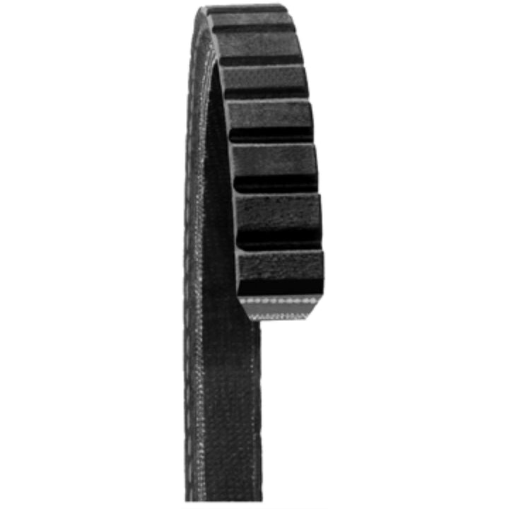 Dayco 15545 Keilriemen