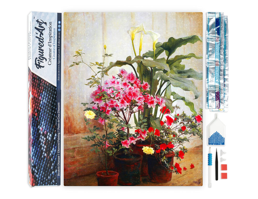 Figured'Art Diamond Painting Erwachsene 40x50cm Ganze Leinwand gerollt Seite eines Gewächshauses Geo