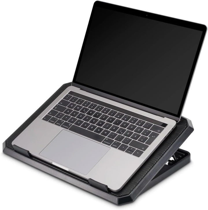 Hama Laptop-Kühler Black Metal, neigbar, leise, 2 Lüfter, 40 cm (15,6), Schw.