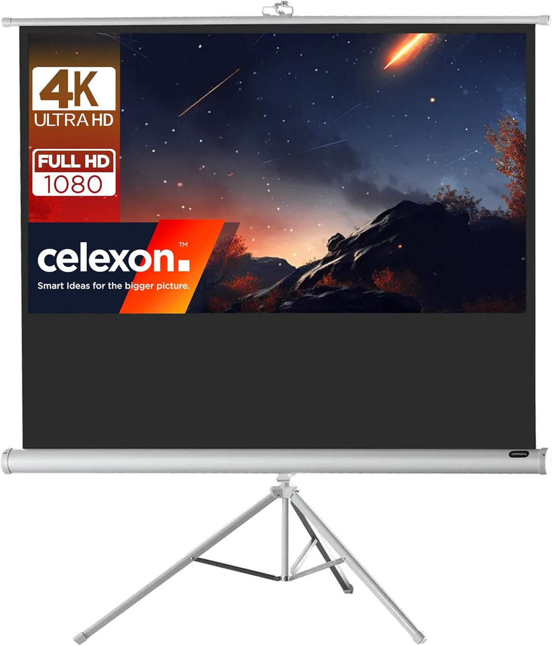 celexon tragbare Beamer-Leinwand mit vormontiertem Ständer Mobile Stativ-Leinwand mit Tragegriff Wei