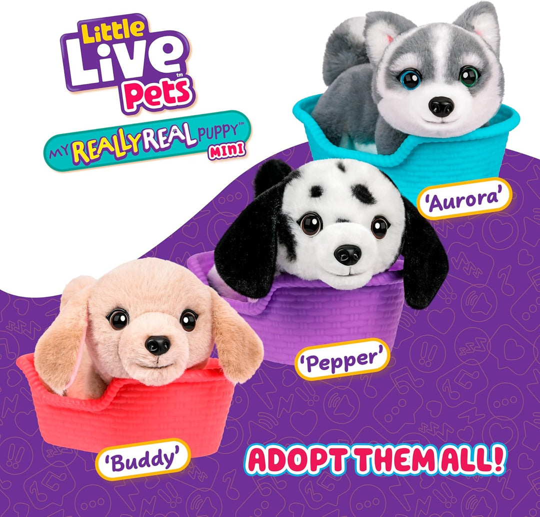 Little Live Pets My Really Real Puppy Minis – Aurora der Husky, interaktiver Puppy mit 20+ Geräusche