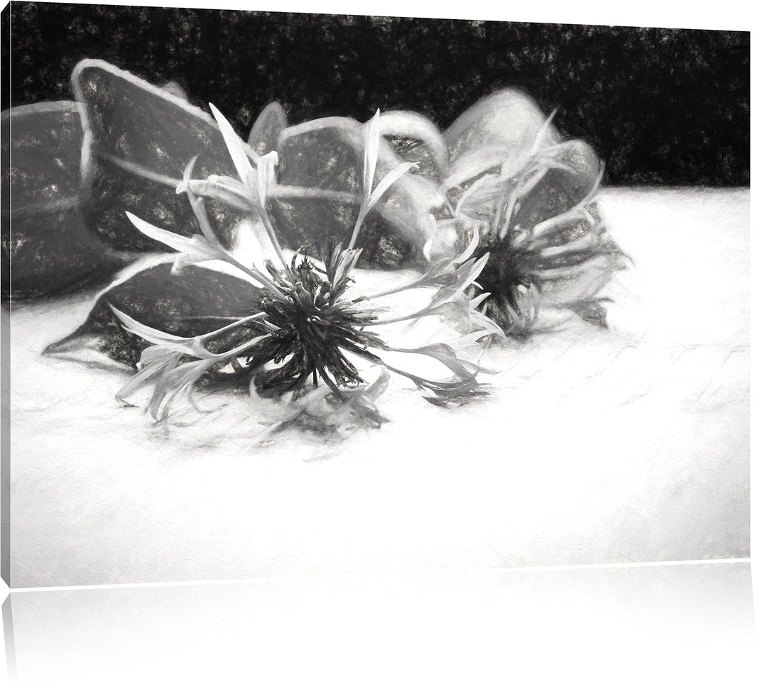 Pixxprint Notenblatt mit Kornblume als Leinwandbild/Grösse: 100x70 / Wandbild/Kunstdruck/fertig besp