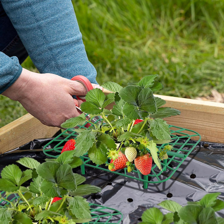 GIONAR 12 Stück Erdbeerstützen Ständer - Erdbeerregal - Balkon Erdbeernetze,Erdbeeren vor Staub und