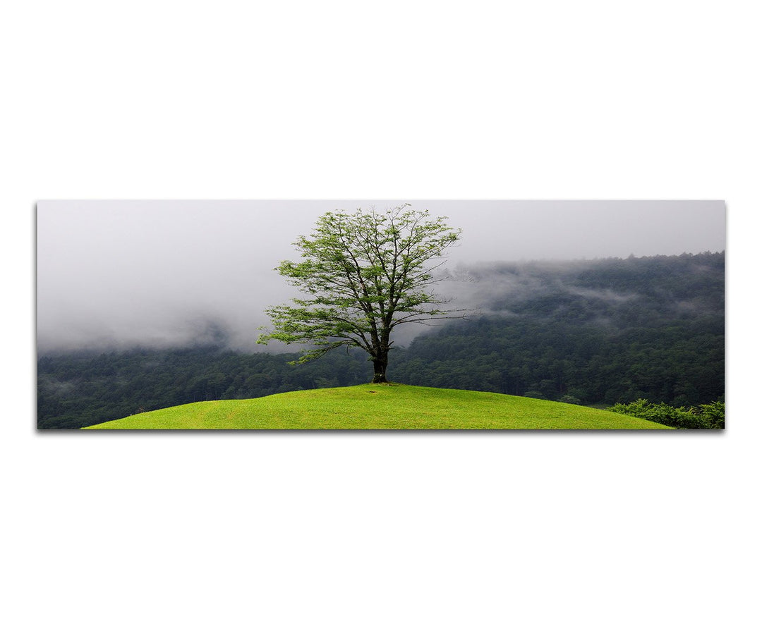 Paul Sinus Art Panoramabild auf Leinwand und Keilrahmen 150x50cm Wald See Nebel Insel Baum Spiegelun