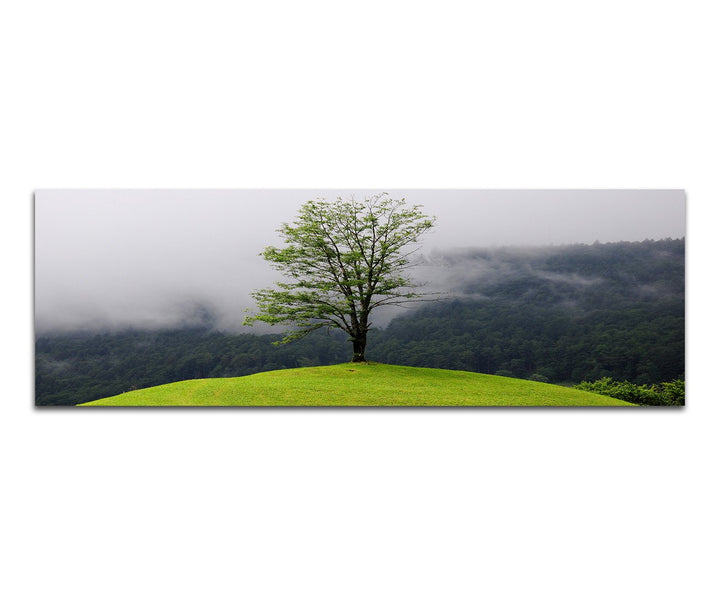 Paul Sinus Art Panoramabild auf Leinwand und Keilrahmen 150x50cm Wald See Nebel Insel Baum Spiegelun
