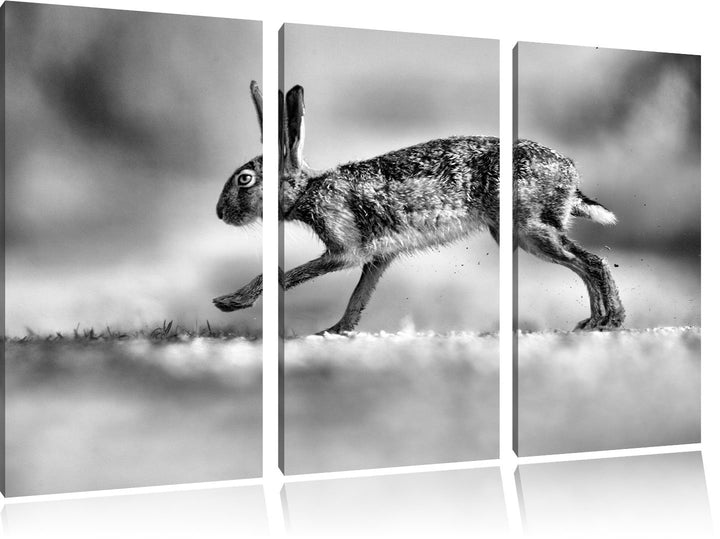 Pixxprint Hüpfender Hase / 3-Teilig/Gesamtmass 120cm Leinwandbild bespannt auf Holzrahmen/Wandbild K
