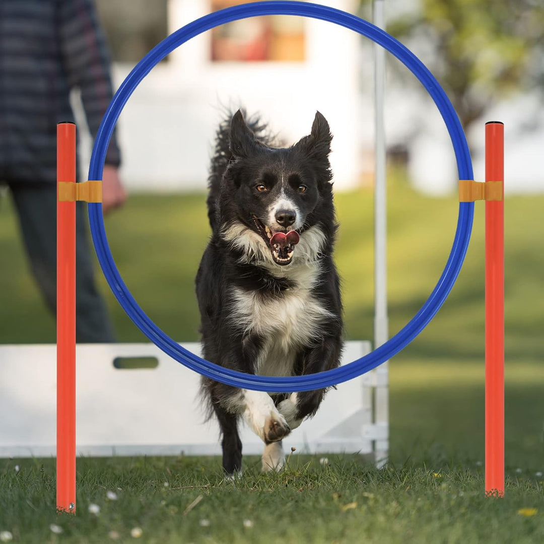 Agility Set Hunde Agility Ausrüstungs Set für Hunde Hindernisse mit Hundetunnel, Slalomstangen Höhen