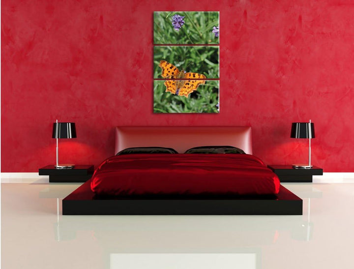 Pixxprint Schmetterling auf Blumenwiese / 3-Teilig/Gesamtmass 120cm Leinwandbild bespannt auf Holzra