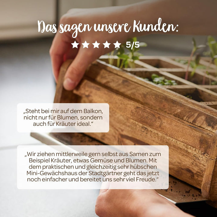 Modernes Gewächshaus als Deko, für Anzucht & für Kräuter | Aus Glas, recyceltem Holz und Metall | Zi