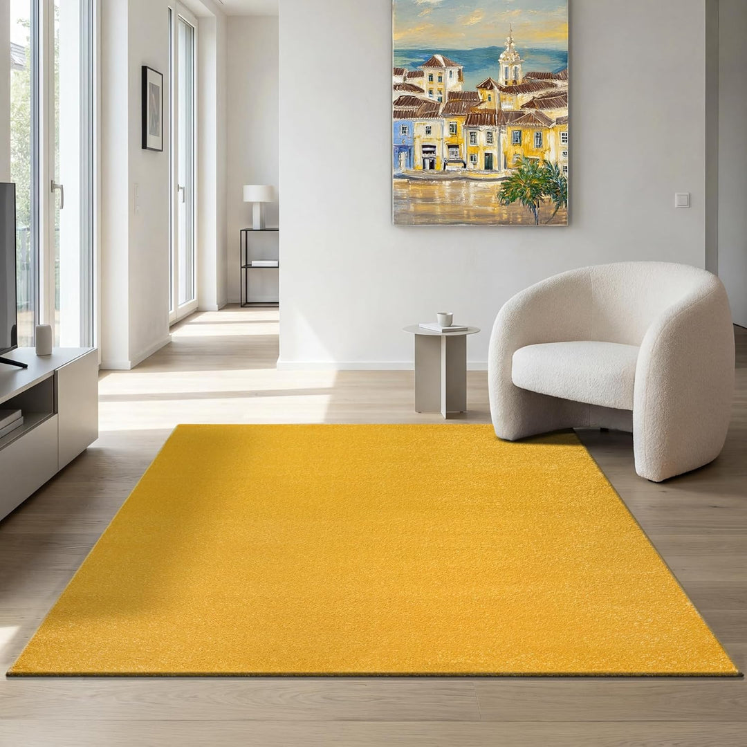 SANAT Kurzflor Teppich Wohnzimmer - Uni Modern Teppiche fürs Schlafzimmer, Arbeitszimmer, Büro, Flur