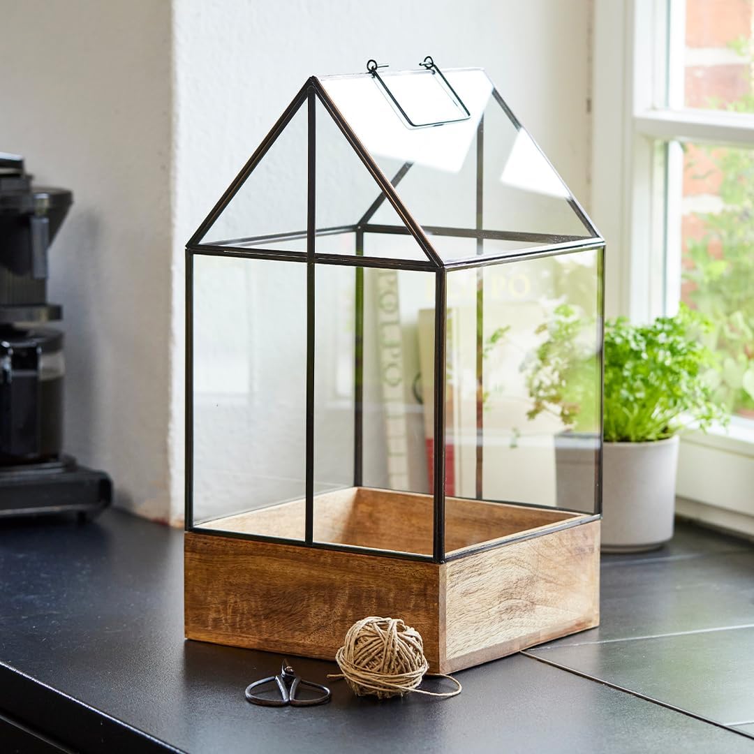Modernes Gewächshaus als Deko, für Anzucht &amp; für Kräuter | Aus Glas, recyceltem Holz und Metall | Zi