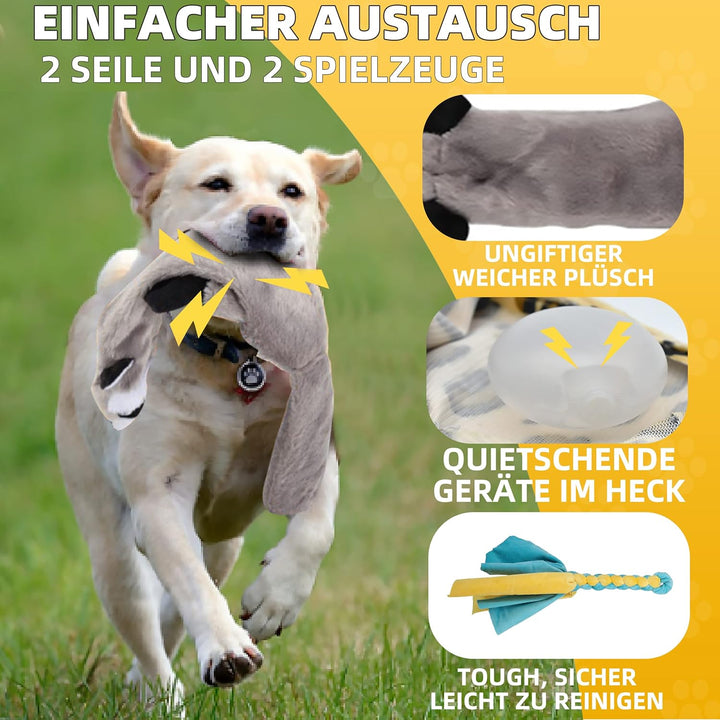 Reizangel Hunde, Profi Reizangel für Kleine, Mittelgrosser, Grosse Hunde für Ultimativen Spielspass