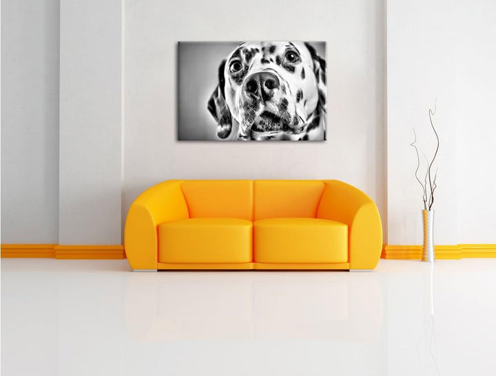 Pixxprint Süsser Dalmatiner / 100x70cm Leinwandbild bespannt auf Holzrahmen/Wandbild Kunstdruck Deko