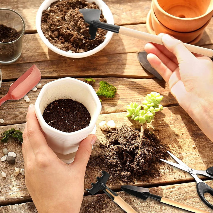 Mini Pflanzen Werkzeug Set,13 Stück Mini-Gartengeräte-Set Mini-Gartenhandtransplantation Sukkulente