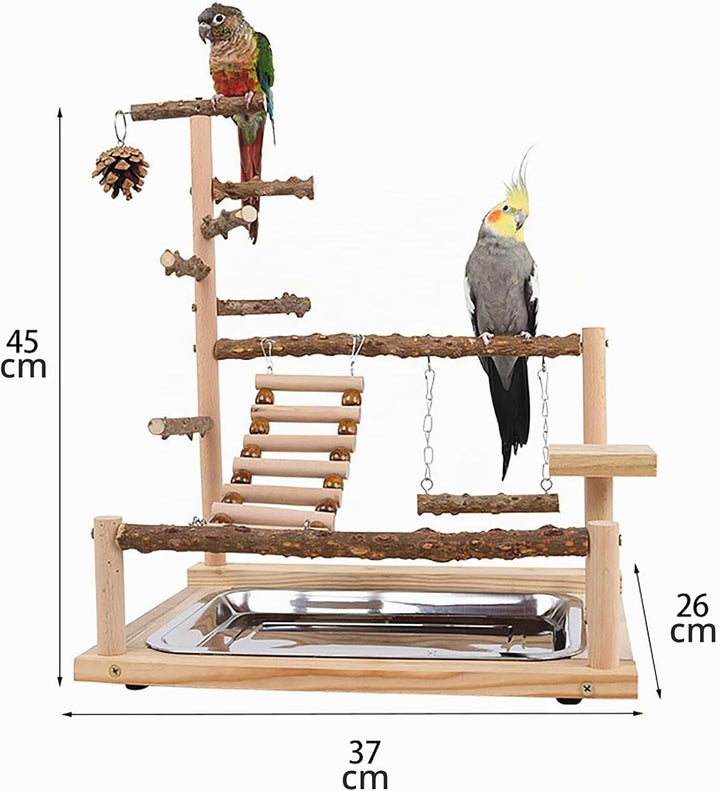 Papagei Vogelspielplatz, Wellensittich Spielzeug, Parrot Playstand, Geeignet für Eclectus, Ara, Kaka