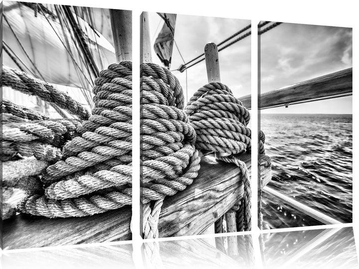 Pixxprint Tau auf einem Schiff 3Teiler 120x80 cm Leinwandbild Wandbild Kunstdruck