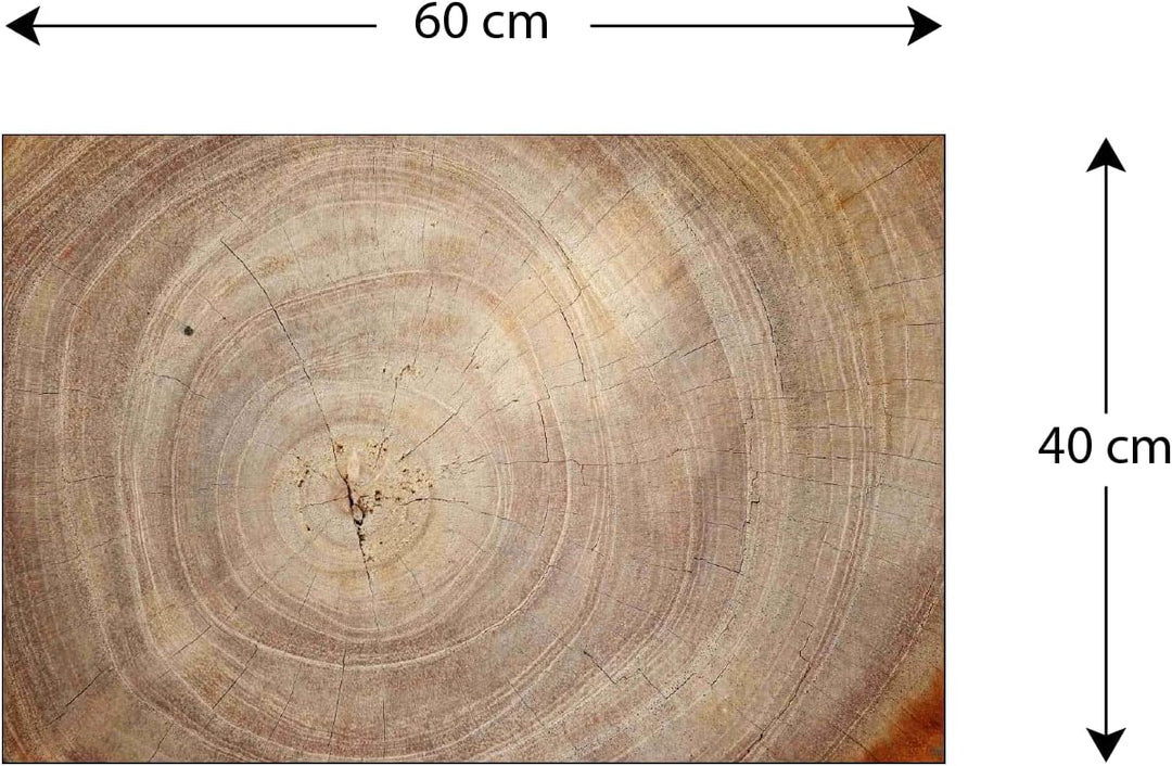 ALLboards Glas Magnettafel Baumstamm Natur Baumkern 60x40cm Glasbild Memoboard aus Glas Glastafel mi