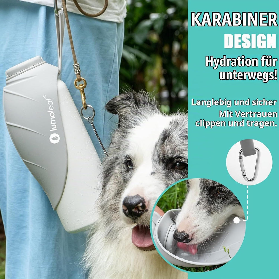 LumoLeaf Isolierte Edelstahl-Wasserflasche für Hunde, 800 ml – Hält Wasser stundenlang kühl oder war