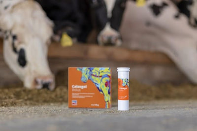 Kerbl Calzogol Bolus, Kalzium Bolus 4 Bolus/Packung