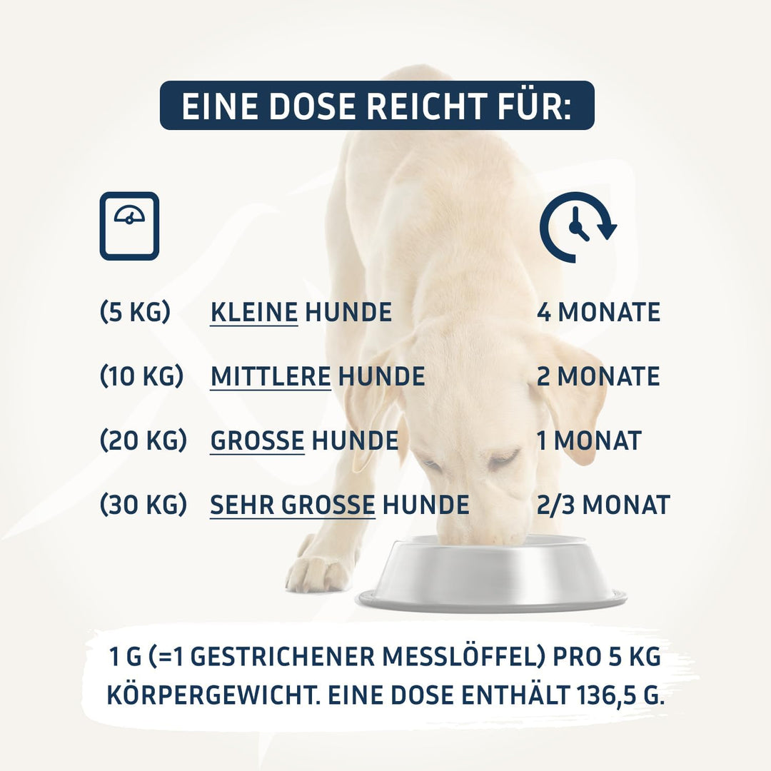 BodyFokus PetFokus Agility Complete – Für gelenkempfindliche Hunde