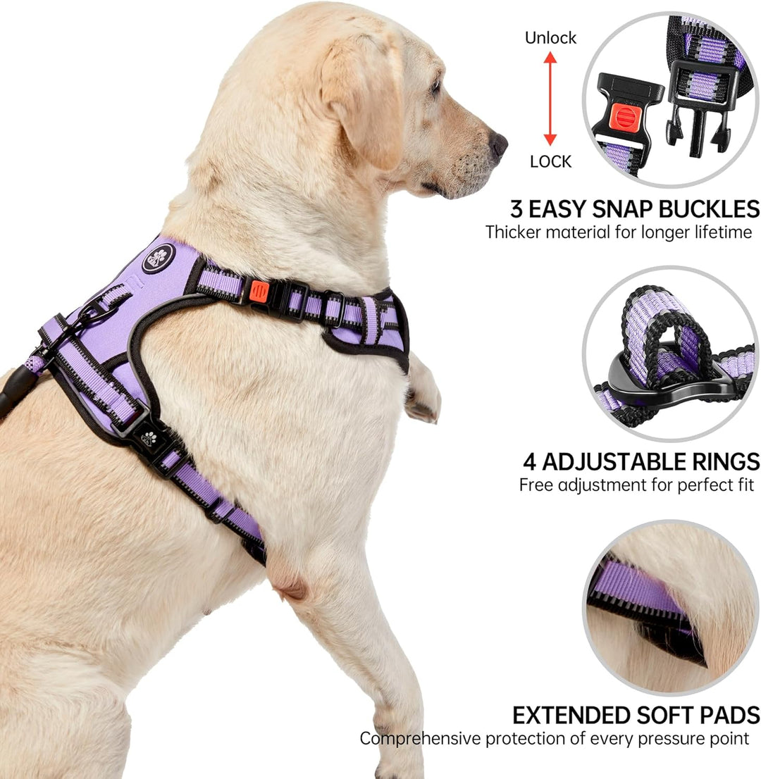 NESTROAD Anti Zieh Hundegeschirr Grosse Hunde Leine Geschirr Set,für Hunde Grosse mit Halsumfang 43~
