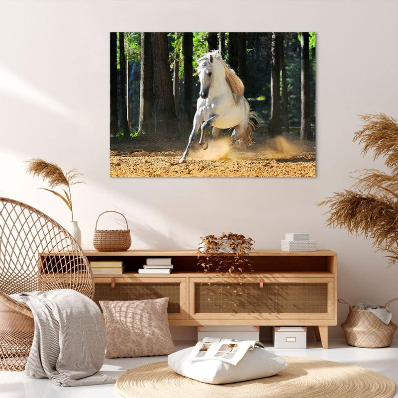 Bilder auf Leinwand 100x70cm Leinwandbild Staub Emotionen Pferd Natur Gross Wanddeko Bild Schlafzimm