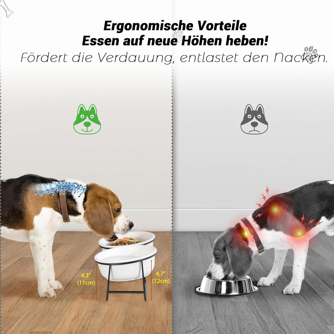 Hundenapf Keramik - Futternapf Hund Katzennapf - Futterstation Hund Katzen Erhöht mit Ständer - Dopp
