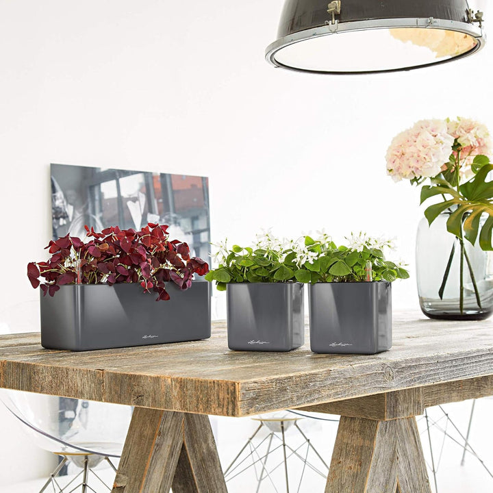 Lechuza Cube Glossy Triple, Weiss, Lackierte Oberfläche, Hochwertiger Kunststoff, Stick-Bewässerungs