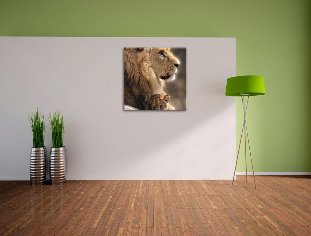 Löwe mit Löwenbaby, Format: 70x70 auf Leinwand, XXL riesige Bilder fertig gerahmt mit Keilrahmen, Ku