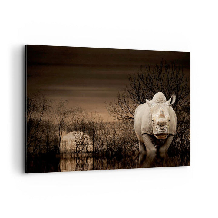 Bilder auf Leinwand 100x70cm Leinwandbild Tier Nashörner Insekten Gross Wanddeko Bild Schlafzimmer K